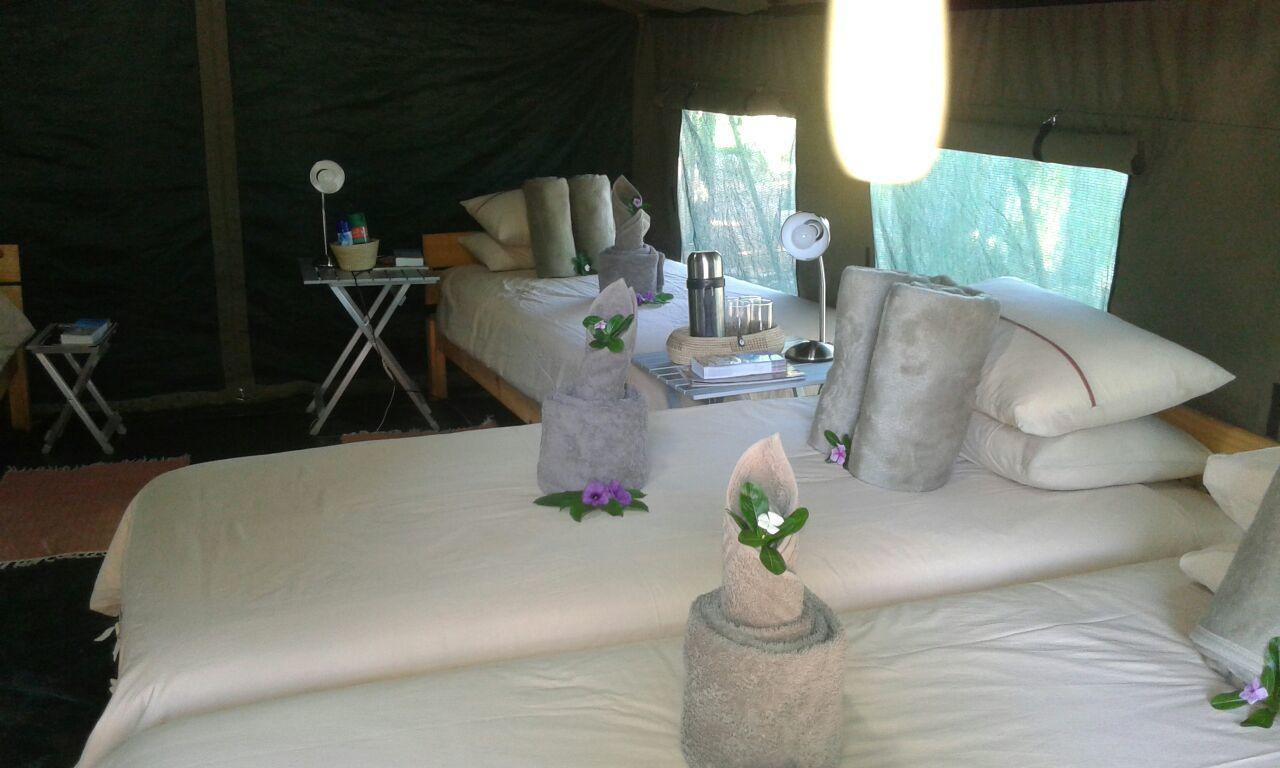 Epupa Camp Villa Ngoại thất bức ảnh