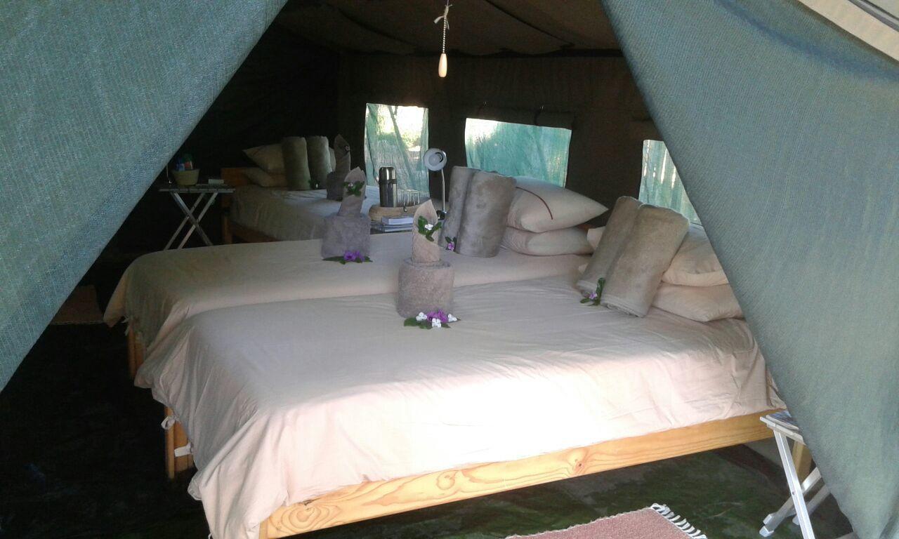 Epupa Camp Villa Ngoại thất bức ảnh