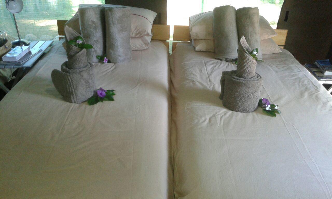 Epupa Camp Villa Ngoại thất bức ảnh
